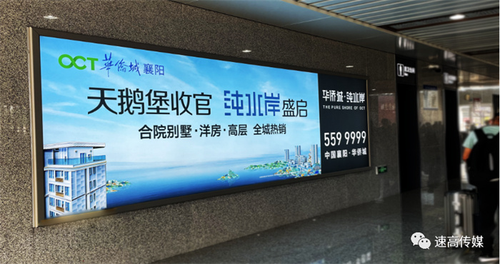 1667981437205128.jpg 17.jpg